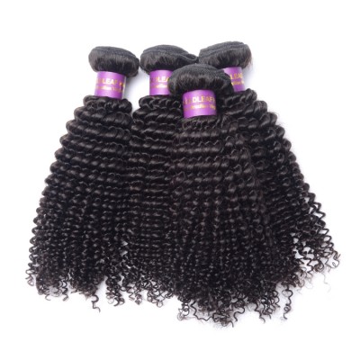 Wholesale price No tangle double weft unprocessed raw indian remy kinky curly human hair